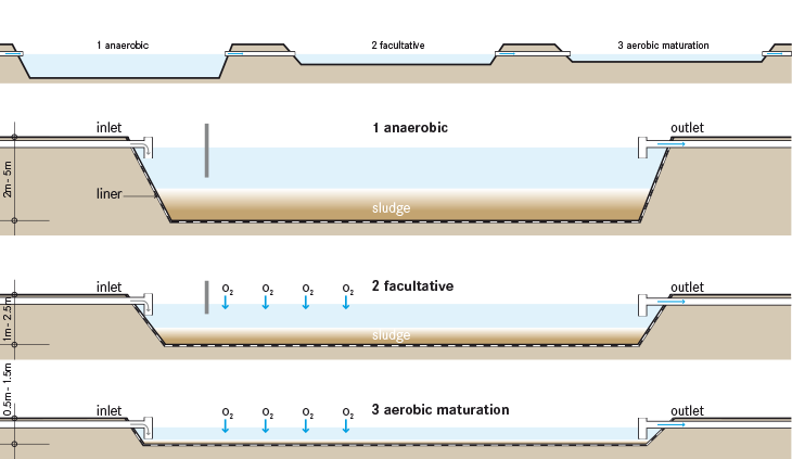 Waste Stabilisation Ponds | SSWM diagram of oxidation pond 